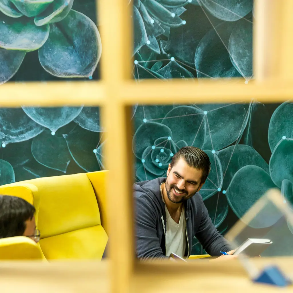 نمایندگی هاست چیست؟